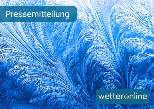 Kunstwerke der Kälte: Eisblumen