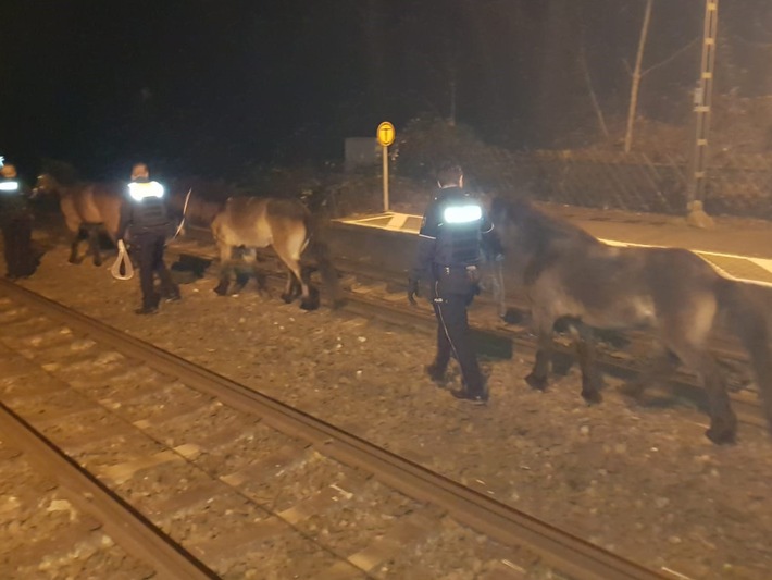 POL-SO: Bad Sassendorf - Pferde eingefangen
