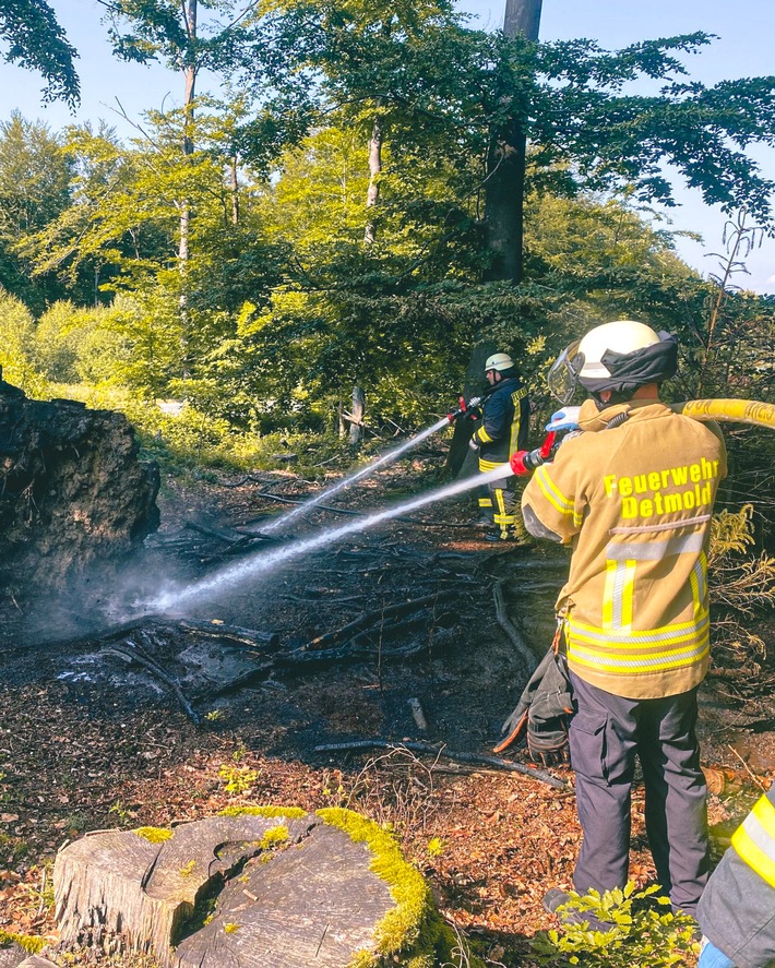 FW-DT: Feuer im Wald und Ölspur beschäftigen Detmolder Wehr