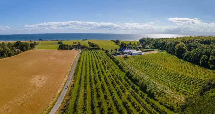 Weinland Dänemark