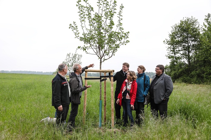Obstbäume für Köln-Blumenberg -  RheinEnergie legt ein Offenlandbiotop an