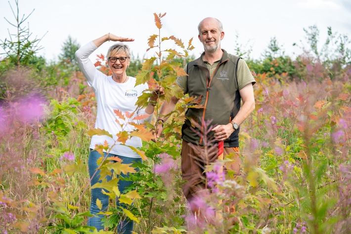 Naturoase mitten in Deutschland: Der lavera Wald der lavera Thomas Haase Stiftung wächst und gedeiht