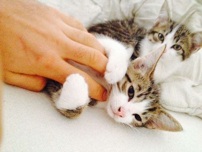 Les heures passées à la maison peuvent s