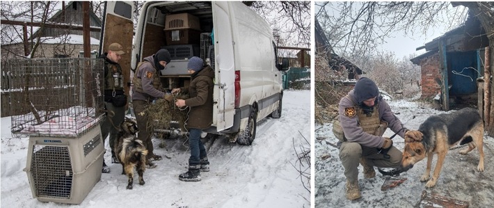 Zwei Jahre Ukraine-Krieg: 15.000 gerettete Tiere, 1.500 Tonnen Nahrung, 1.300 sichere Plätze für Tiere und eine Tierklinik | Einblick in PETAs größtes karitatives Tiernothilfeprojekt