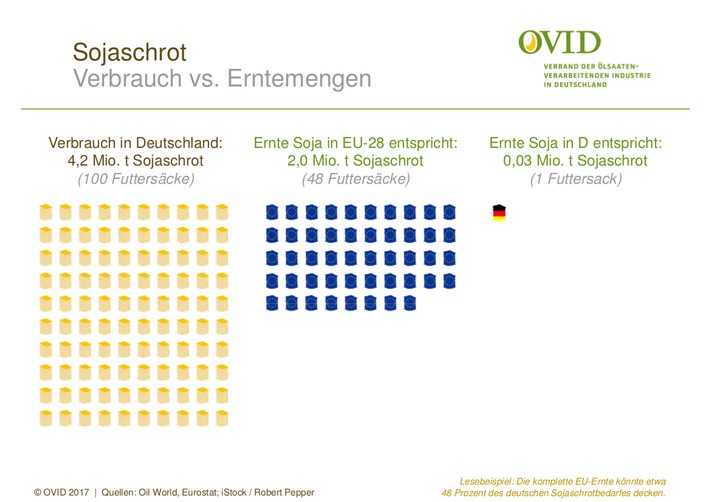 Sojaanbau in Deutschland auf Erfolgskurs: Importe weiter unverzichtbar
