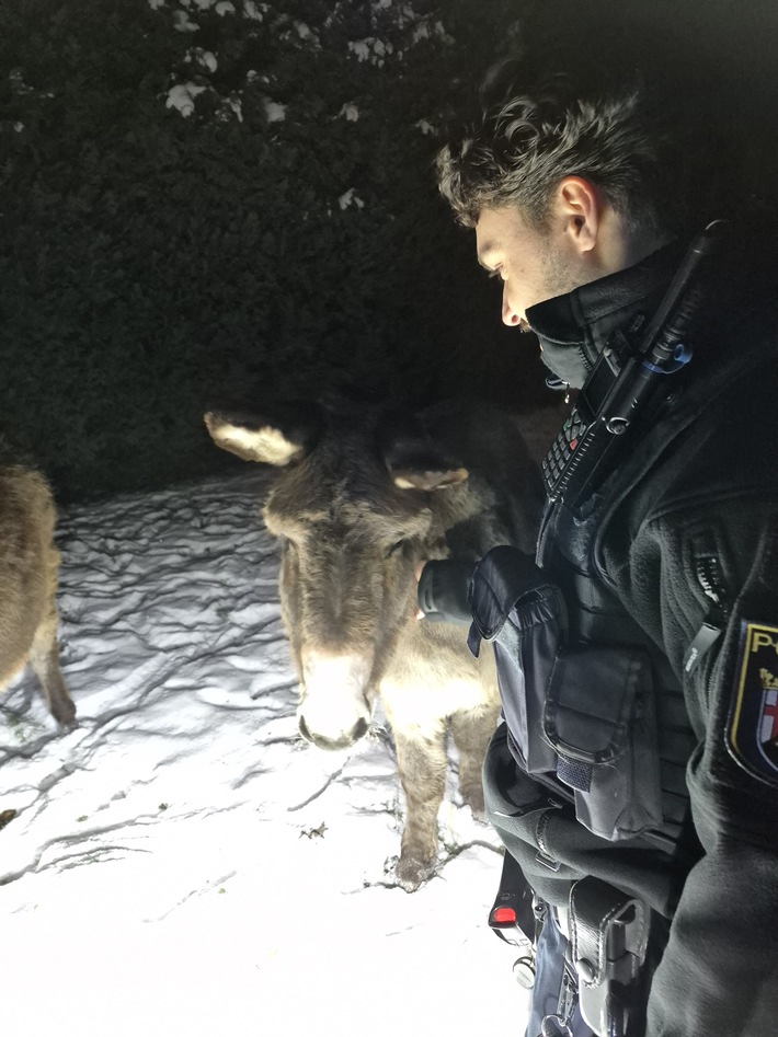 POL-PDWO: Oberwiesen - Esel auf Nachtwanderung
