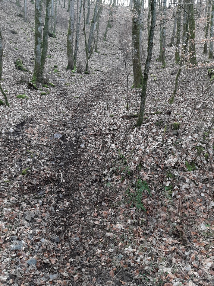 POL-PDWIL: Motorräder im Wald