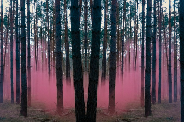 ARD Crime Time: Rosa Riese - Jagd auf ein Phantom / SWR Doku aus der Reihe "ARD Crime Time" ab 23.2.2026 in der ARD Mediathek, am gleichen Abend ab 23:35 Uhr im Ersten