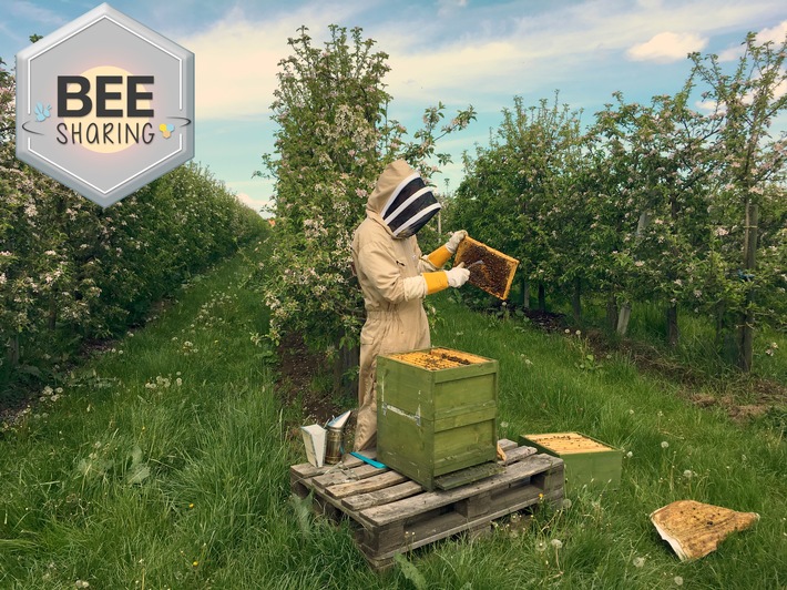 BEEsharing auf Wachstumskurs: Landwirte und Obstbauern mit 1.200 Hektar Anbaufläche setzen bereits auf das Online-Netzwerk / Imker bieten auf der Plattform mehr als 3.000 Bienenvölker zur Bestäubung an
