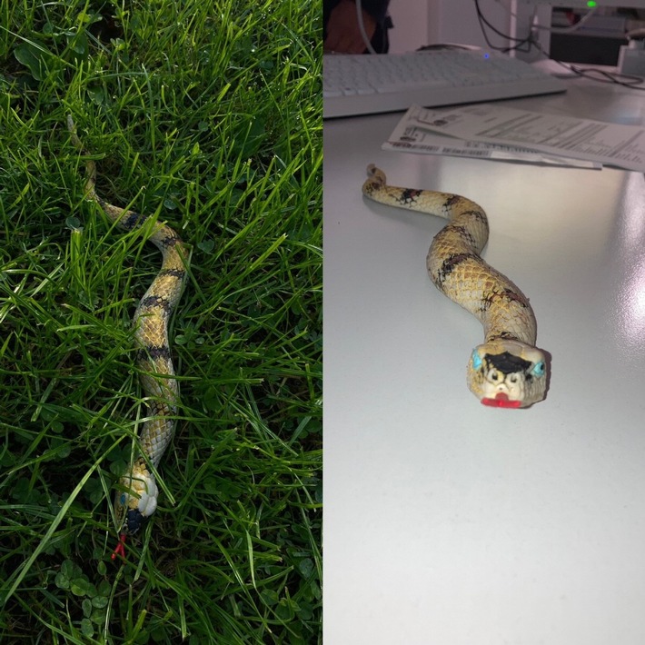 POL-HA: Schlange im Vorgarten stellt sich als Spielzeug heraus