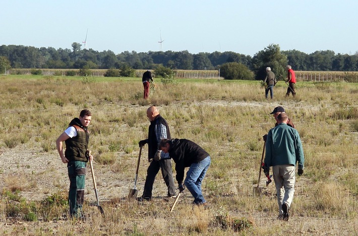 Freiwillige Naturschutzaktion auf DBU-Naturerbefläche - ehemals NATO-Flugplatz Hopsten-Dreierwalde