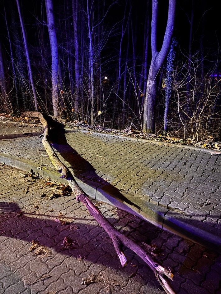 FW-Schermbeck: Umgestürzter Baum