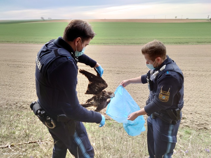 Polizei birgt Bussard in Obersunzing 9 April 2021 - www. komitee.de.jpg