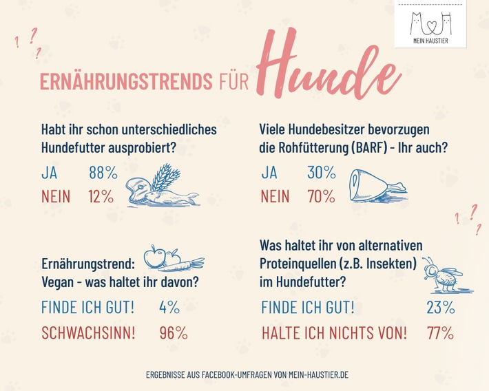 Welche Ernährung ist die beste für Hunde?