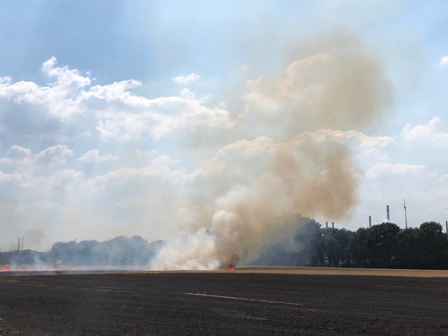 FW-GE: Erster größerer Flächenbrand in Gelsenkirchen