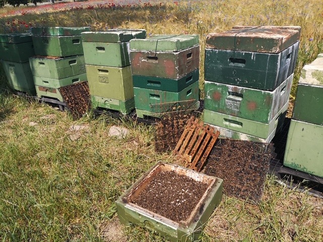 POL-NB: 1650EUR Schaden nach Sachbeschädigung an Bienenkästen nahe Bollewick