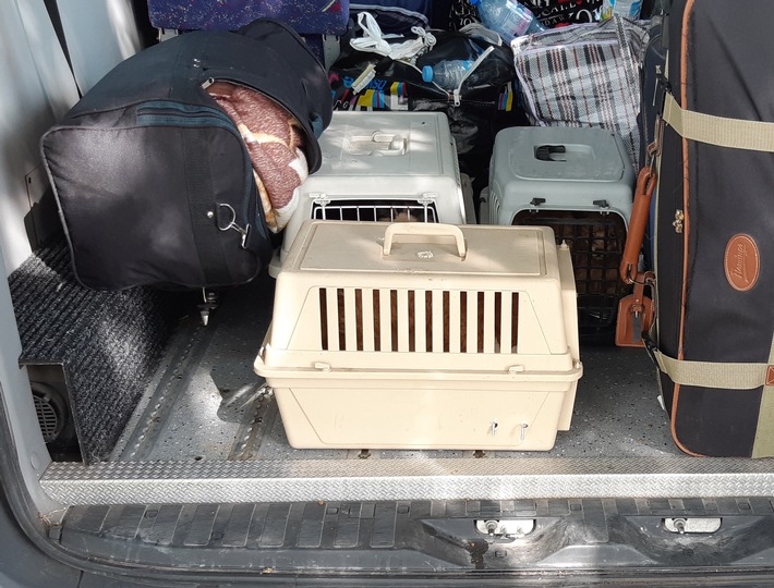 BPOLI C: Bundespolizei stoppt Hundetransport