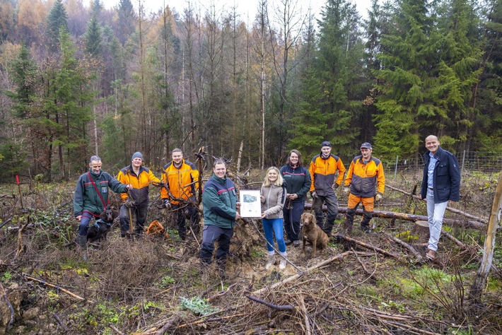 Presseinformation: tegut… Baumpflanzaktion - 7.500 neue Bäume für den Hessischen Staatswald