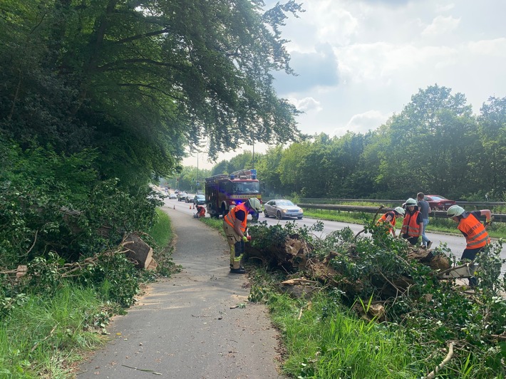 FW-EN: Umstürzender Baum verfehlt fahrenden PKW nur knapp & Rauchentwicklung im Linienbus