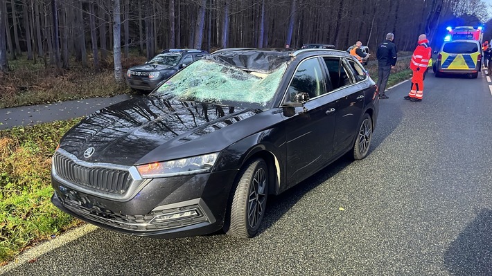 POL-HRO: Verkehrsunfall mit Wild - Fahrzeug nicht mehr fahrbereit