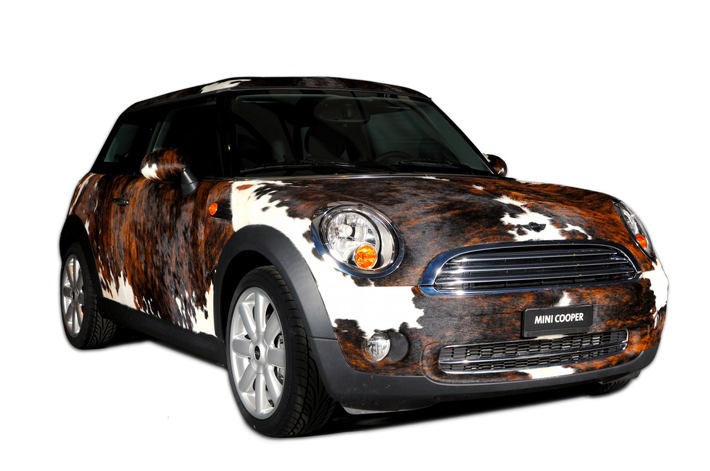 BMW Group: "The pet MINI" - Première mondiale aux "nouveaux espaces 07" à Zurich