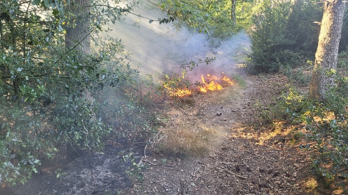 FW-EN: Waldbrand und mehrere Einsätze für die Feuerwehr