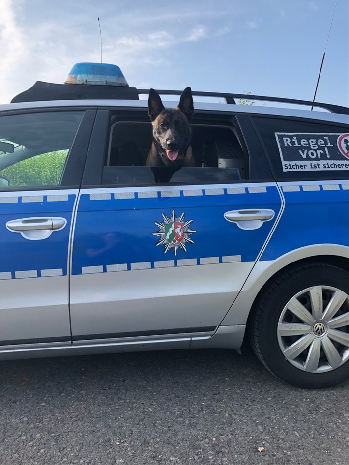 POL-DO: Diensthund Jack erfolgreich - Polizei nimmt zwei Einbrecher fest