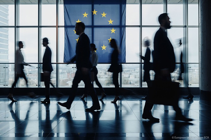 The impact of EU advisory bodies on policymaking is not systematically measured