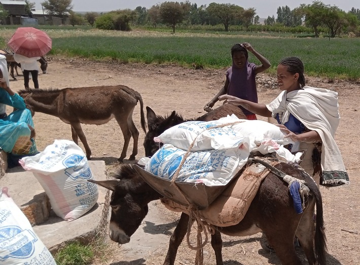 Stiftung Menschen für Menschen: Nahrungsmittel erreichen Notleidende im Tigray-Krieg
