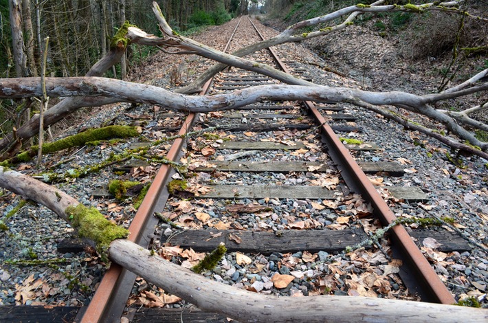 Richtige Gehölzauswahl an Bahnstrecken vermeidet Sturmschäden und Betriebsstörungen