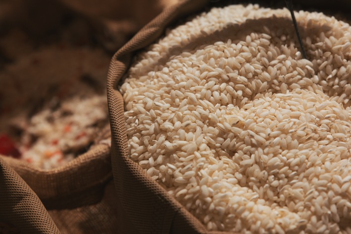 Lidl Suisse promeut des méthodes de riziculture plus durables / &quot; Sustainable Rice Platform &quot;