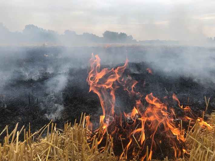 FW-F: Abflämmen von Unkraut verursacht Feuer