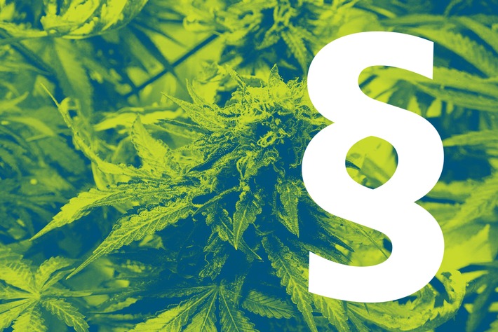 Quel est l&#039;impact de la légalisation du cannabis ? / Il est encore trop tôt pour le savoir