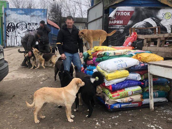 En Ukraine, UPAW continue de fournir des tonnes de nourriture aux refuges pour animaux
