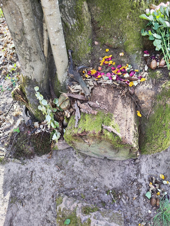 POL-PDLD: Annweiler - Sachbeschädigung Trifelsruhe