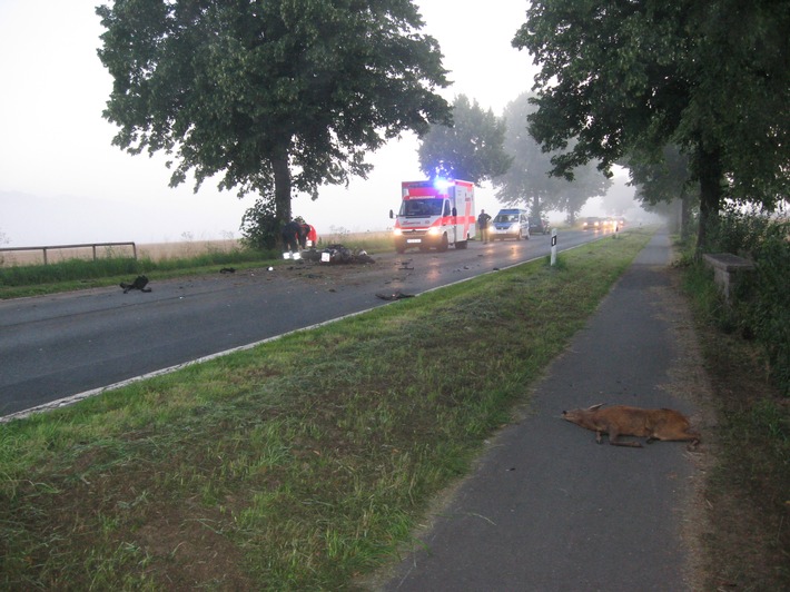 POL-HI: Brüggen - Kradfahrer stirbt nach Zusammenstoß mit Rehwild