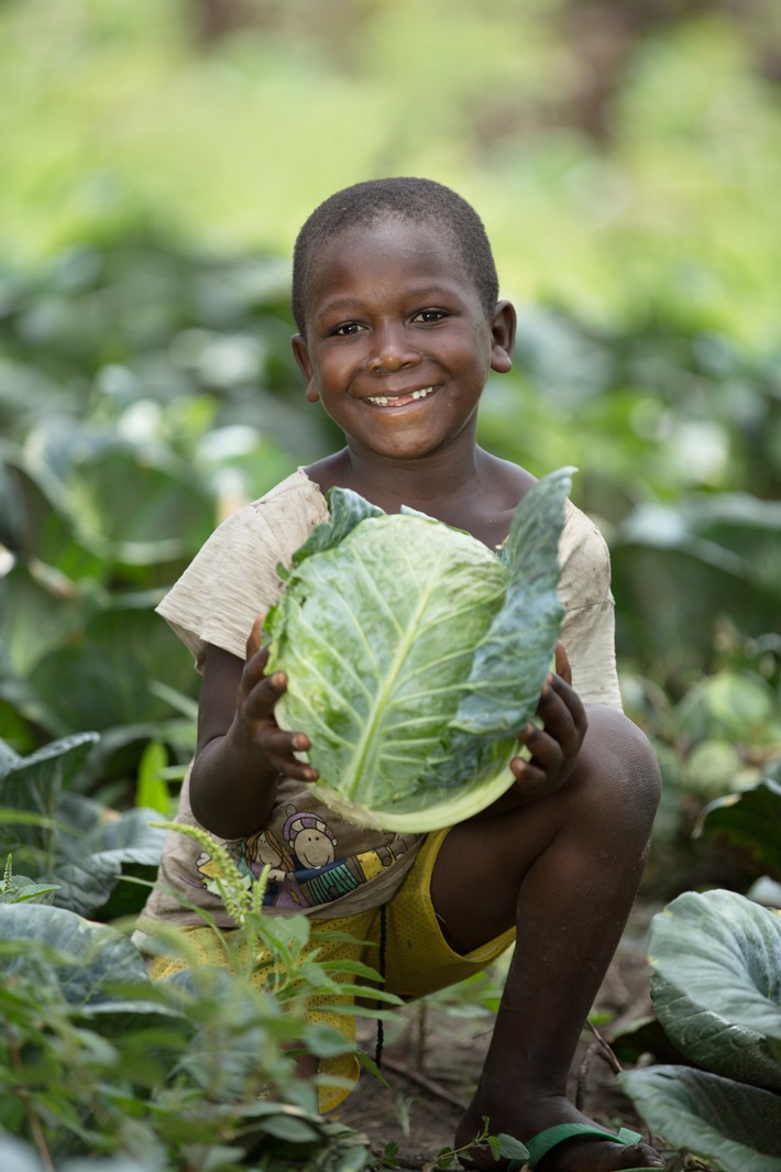 Kreative Online-Geschenke zu Weihnachten / Mit dem "Katalog der guten Taten" weltweit helfen