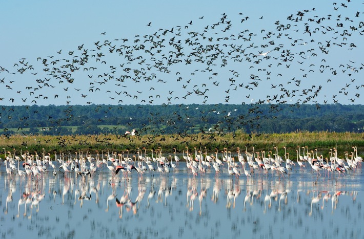 Lissabon im Herbst erleben: Naturparadiese, Vogelzug und wilde Atlantikküste