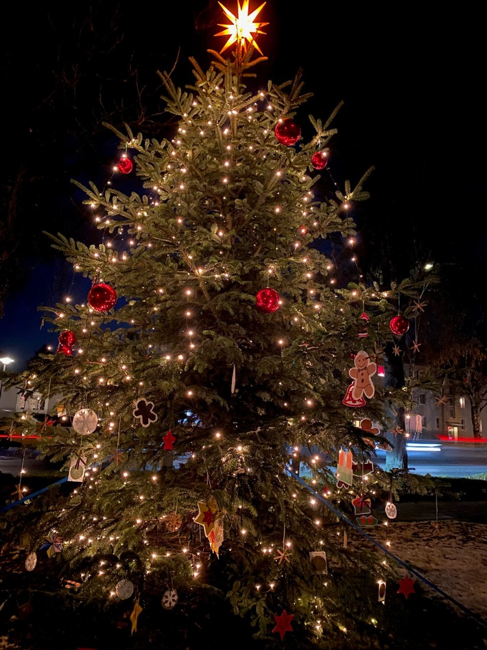 POL-HL: Lübeck-Eichholz / Weihnachtsbaumkugeln gestohlen - Polizei sucht Zeugen