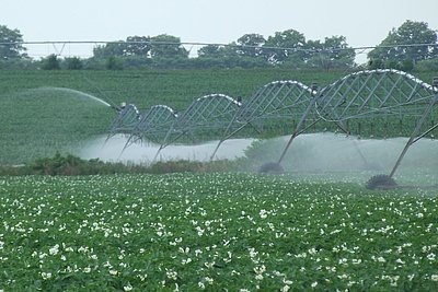 Dürresommer: Ist Landwirtschaft ohne Bewässerung noch möglich?