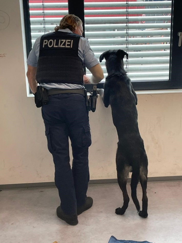 BPOL NRW: "Mein Hund fährt gerne Zug" - Zugfahrender Hund durch Bundespolizei an Halterin vermittelt