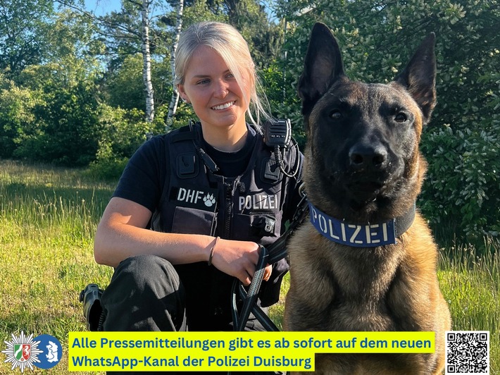 POL-DU: Marxloh: Auf frischer Tat ertappt - Polizeihund Yondu stellt mutmaßliche Einbrecher