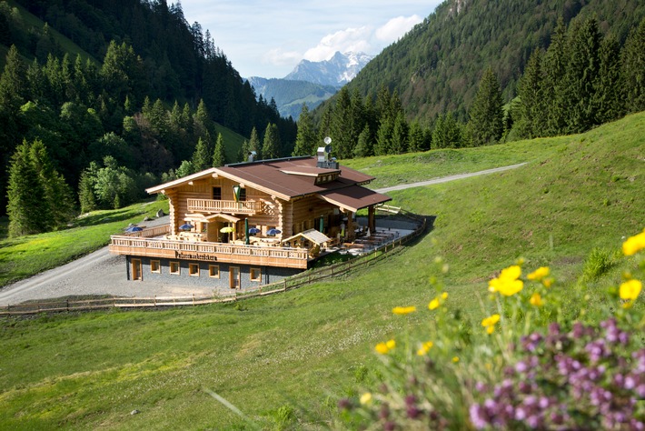 BILD zu OTS - Pulvermacher Scherm im Hörndlinger Graben bei Fieberbrunn, Kitzbüheler Alpen.