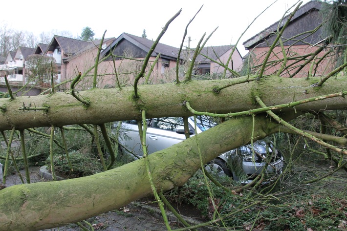 FW-WRN: Sturmlage "Friederike" verlief glimpflich