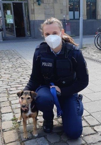 BPOL-TR: Alleinreisender Vierbeiner im Reisezug: Bundespolizei nimmt Hund in Obhut
