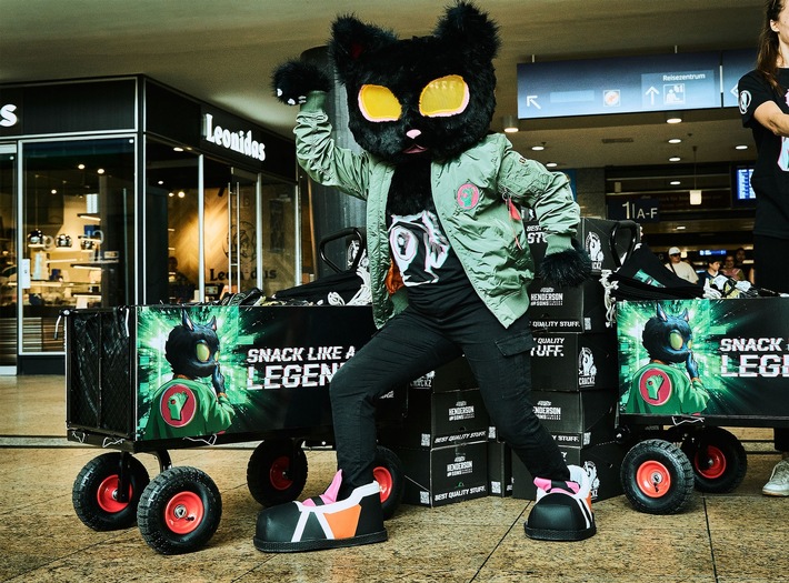 Wasabi Cat – Into the Cat-Verse