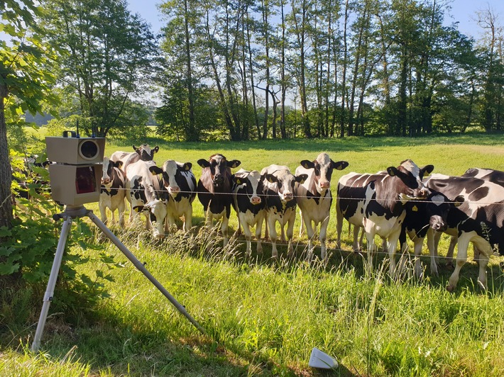 POL-BI: Tierisch neugierige Augenzeugen