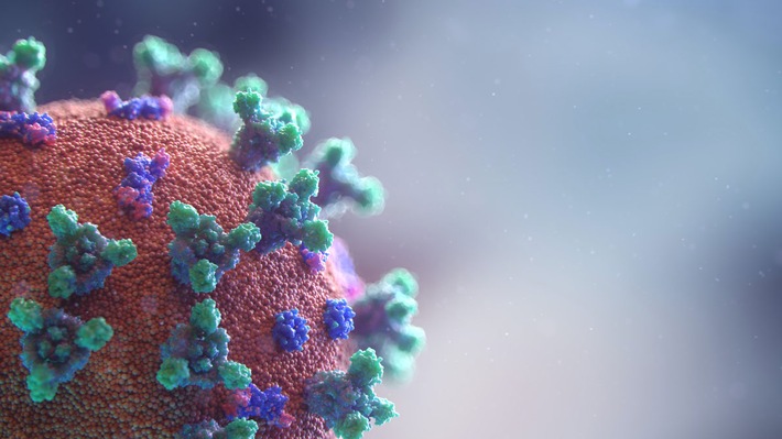 Mikronährstoff-Kombination unterdrückt Zell-&quot;Einfallstor&quot; für Coronavirus