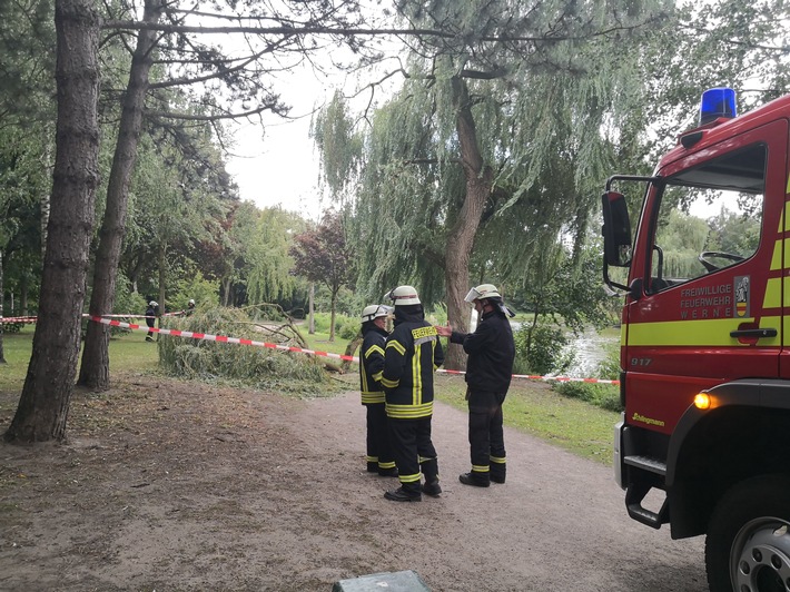 FW-WRN: TH_1 - LZ1 - umgestürzter Baum im Stadtpark