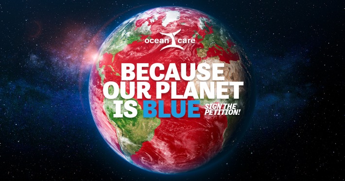 Welttag der Ozeane 2024: Ein verwundeter Planet braucht uns - OceanCare lanciert internationale Initiative